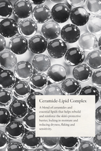 Load image into Gallery viewer, Intensive Hydrating Moisturizer - Barrier-Repair Cream | Vivier